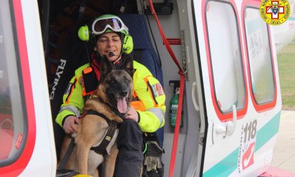 Cani in montagna per salvare vite
