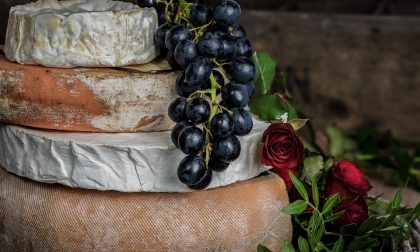 Prodotti lattiero-caseari biologici contaminati da listeria