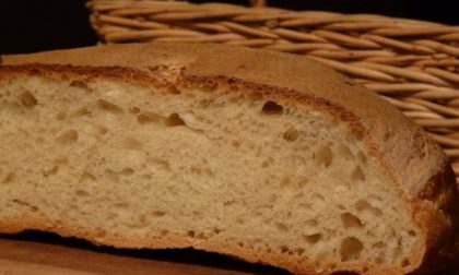 Si sposta dal Comune per comprare il pane: multato