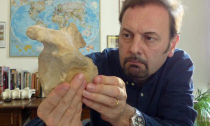 Il più antico dinosauro carnivoro è stato trovato nel varesotto