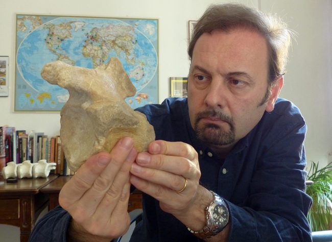 Il più antico dinosauro carnivoro è stato trovato nel varesotto