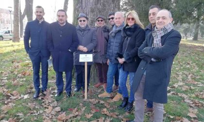 E' nato a Novara il Giardino dei Giusti