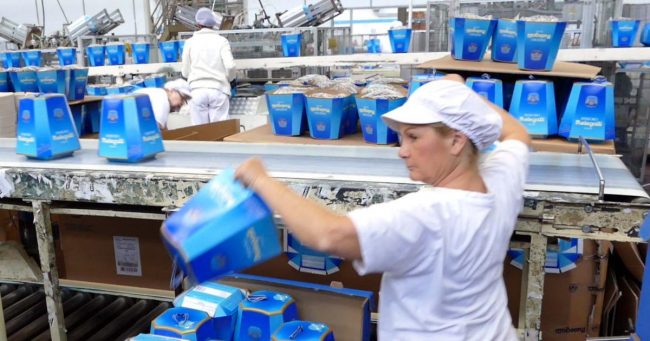 Melegatti risorge dalle ceneri: a ruba i pandori. Zaia: “Un gran regalo di Natale”