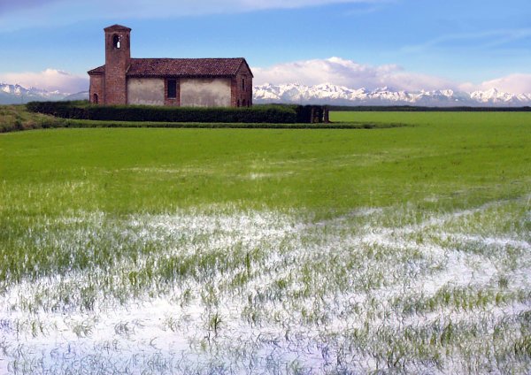 Non c’è abbastanza acqua per le coltivazioni: Est Sesia dichiara lo stato d’emergenza
