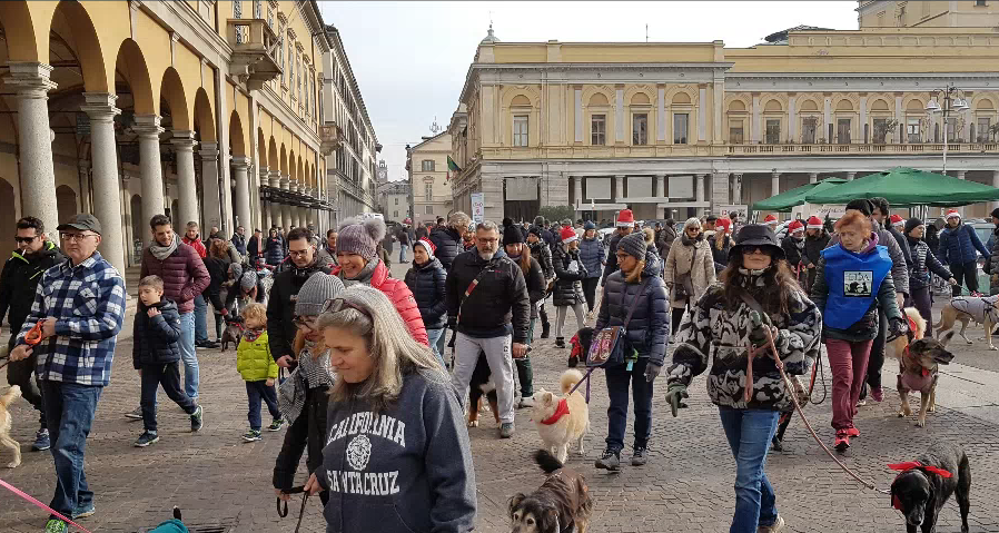 Cani e gatti non sono regali natalizi, l’appello della Lida alla decima Stracanina novarese