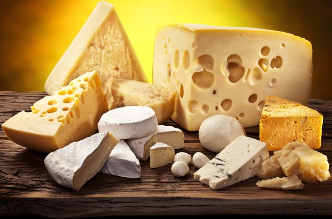 La provincia di Novara protagonista a Cheese 2019