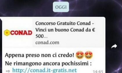 Truffe online con finti “Buoni Conad”: attenzione