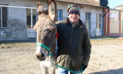 Borgomanero: in oratorio la benedizione degli animali