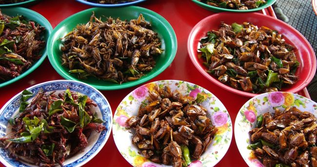 Confartigianato Piemonte: “No agli insetti nei nostri piatti”