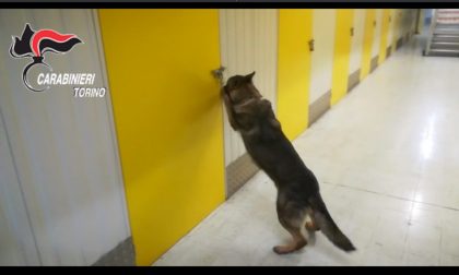 Lingotti d’oro e denaro: scoperto tesoro in un self storage | FOTO e VIDEO
