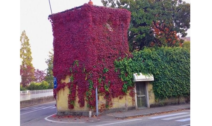 Immobili confiscati alle mafie: a Borgomanero 29mila euro