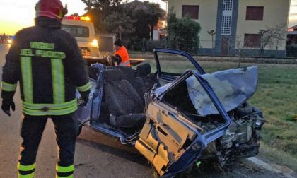 Drammatico incidente: donna morta per schivare un cinghiale