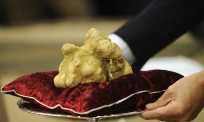 Tartufo come mele e pere: l’Iva scende al 5%