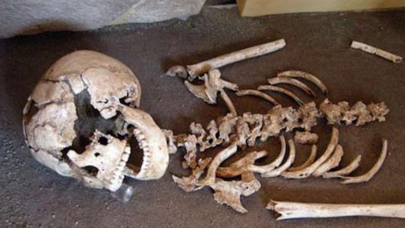 Orrore a Casale Monferrato: trovato sacco pieno di ossa umane