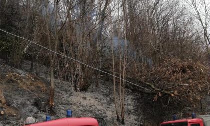 Brucia bosco ad Armeno