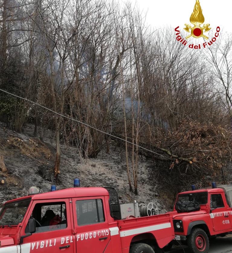 Brucia bosco ad Armeno