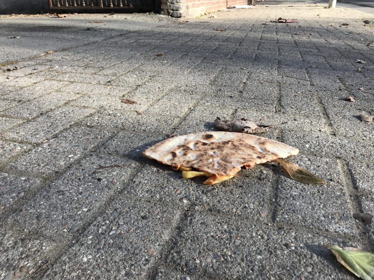 Contro lo spreco alimentare, la mostra degli studenti