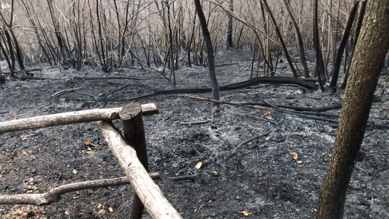 Cusio: spento l’incendio sulle alture di Pella – LE FOTO