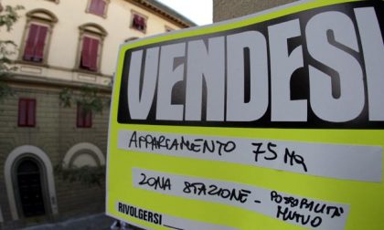 Ruba cartelli “vendesi” e “affittasi” dell’agenzia immobiliare per dispetto