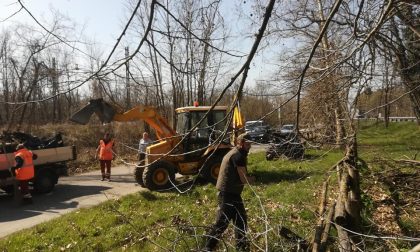 Trecate pulizia dei parchi buona partecipazione