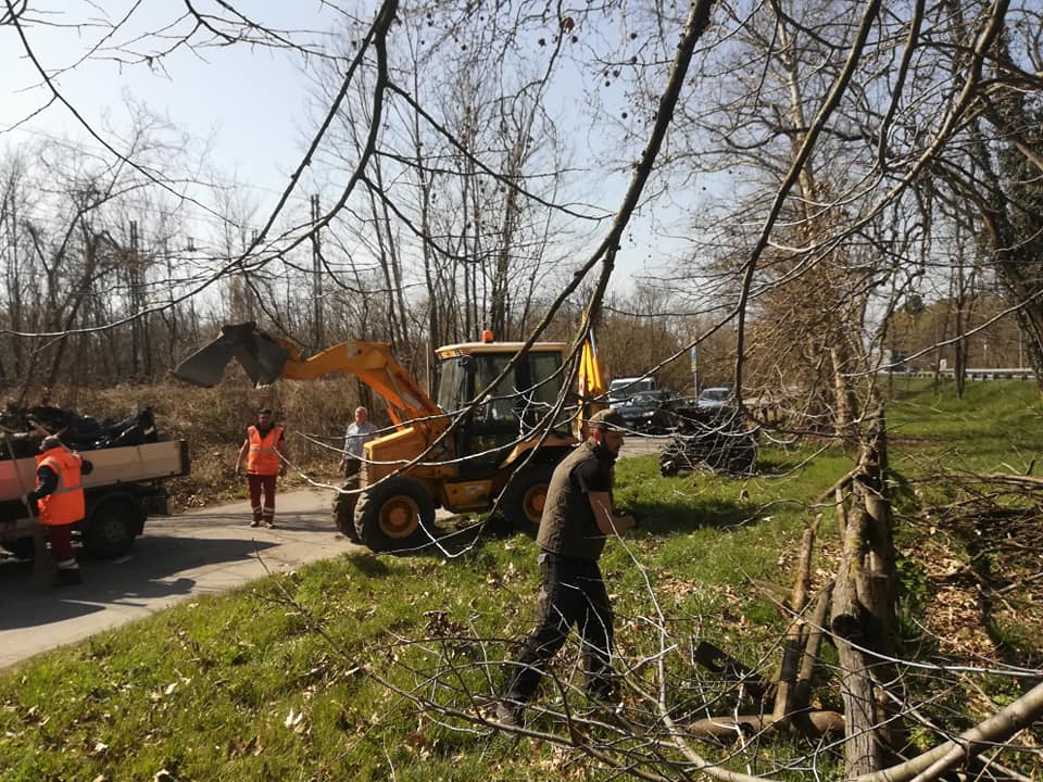 Trecate pulizia dei parchi buona partecipazione