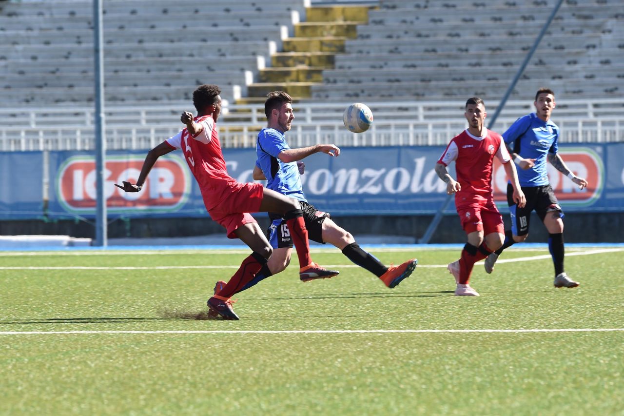 Il Novara calcio crolla in casa contro il Cuneo