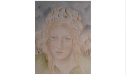 Le opere di Federico Dell'Agnese in mostra a Villa Marazza