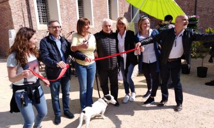 Fiorissimo in Castello: oggi e domani Novara si colora