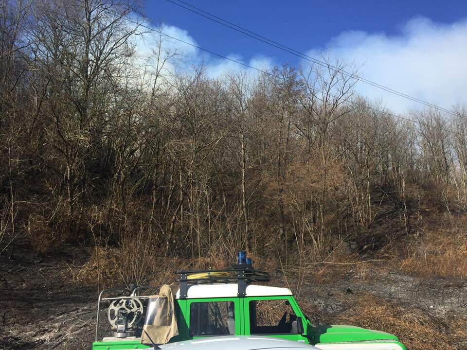 Nuovo incendio nel Cusio: in fiamme i boschi di Gozzano