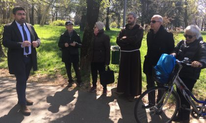 33 alberi da abbattere a San Nazzaro della Costa