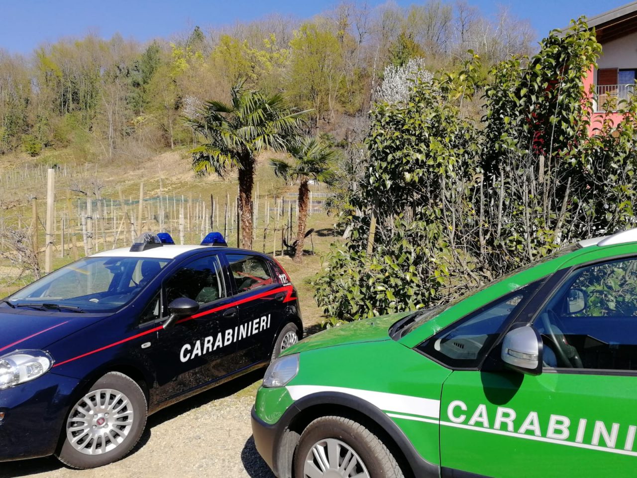 Brucia sterpaglie e incendia 4mila metri quadrati di bosco