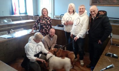 Bulldog Day: domenica a Novara l'invasione dei "bulli"