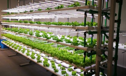 La serra che aiuta a sfamare il mondo è a Novara