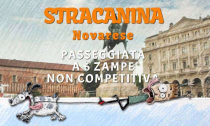 Stracanina, domenica appuntamento in piazza Martiri