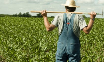 In Piemonte scatta il divieto di spandimento di concimi naturali che possono inquinare