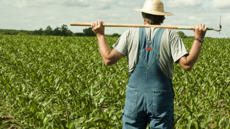 In Piemonte scatta il divieto di spandimento di concimi naturali che possono inquinare