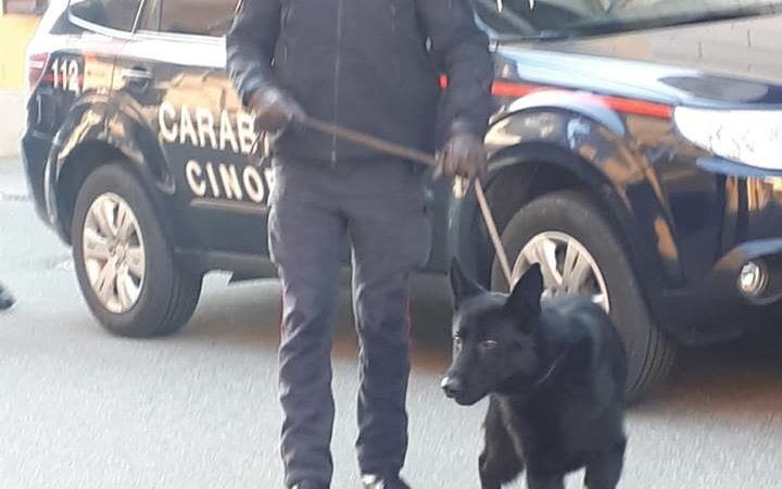 Donna scomparsa da 17 anni: trovate ossa e una scarpa