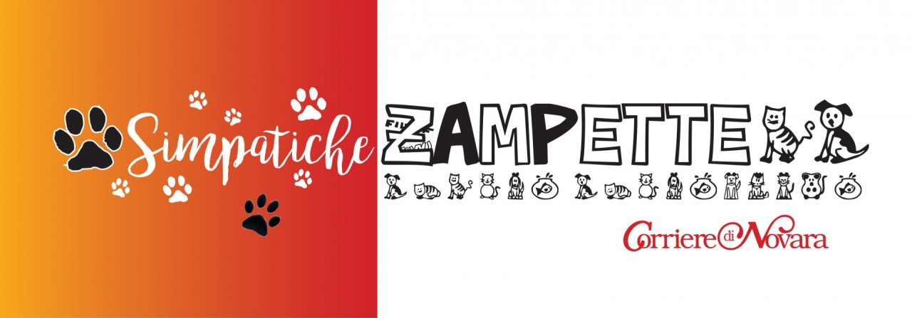 Simpatiche Zampette: il ritorno!