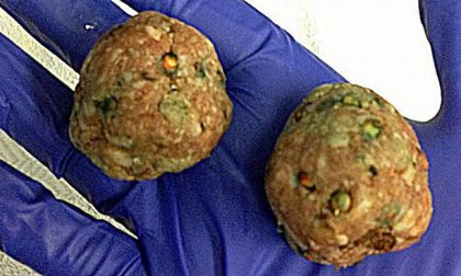 Castelletto polpette "sospette" lanciate in un prato