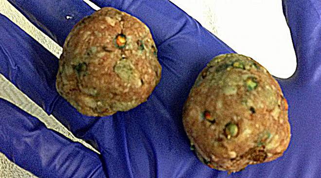 Castelletto polpette “sospette” lanciate in un prato