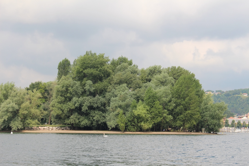 Arona prosegue l’operazione Lago Pulito