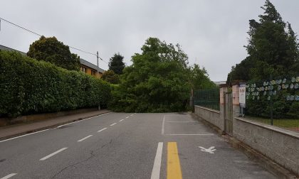 Raffiche di vento sferzano il Novarese