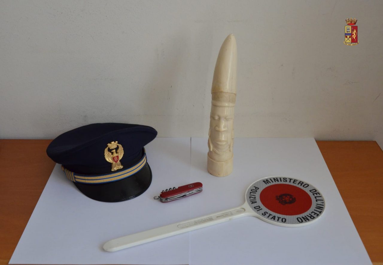 Zanna di elefante nel vano del motorino: sequestrata