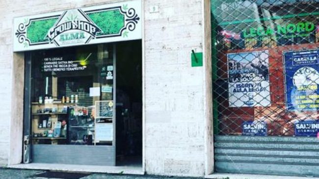 Cannabis light illegale: la Cassazione dice stop alla vendita