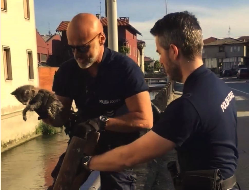 Gattino salvato dalla roggia a Cerano