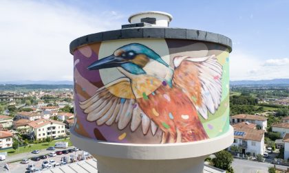 Refreshink vola alto: l'artista aronese svetta