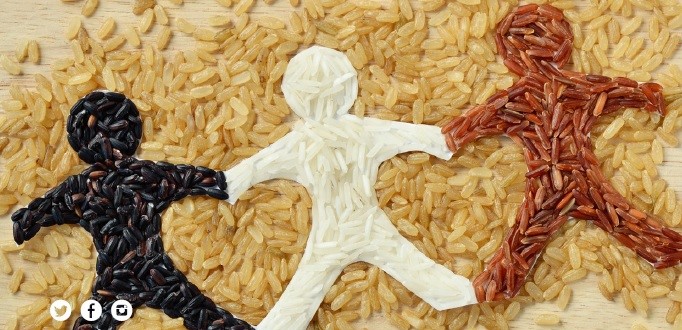 Torna “Dona la spesa” con Nova Coop