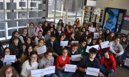 Libertà di insegnamento: sit in anche a Novara