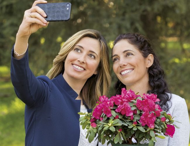 Domenica 12 maggio torna nelle piazze l’azalea della ricerca
