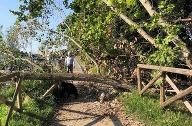“La pista ciclopedonale lungo l’Agogna è interrotta da un mese”